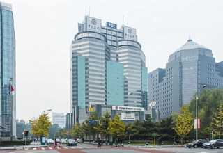 苏州营养香菇干货批发价