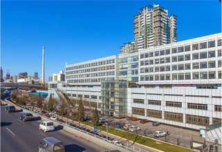 南京防腐仿木葡萄架安装