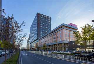 福建婚庆道具方案